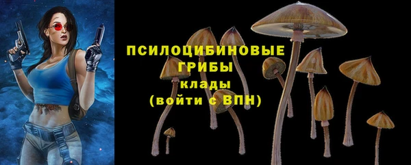 сатива Армянск