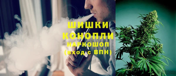 сатива Армянск