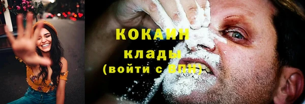 сатива Армянск
