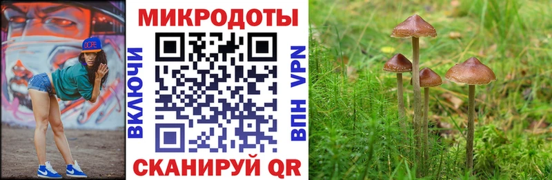 Псилоцибиновые грибы мухоморы  Кадников 