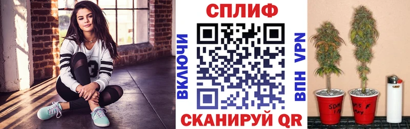 МАРИХУАНА конопля Кадников