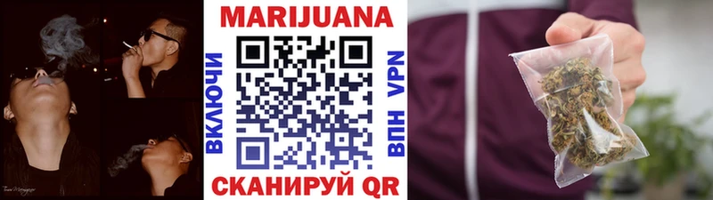 Каннабис планчик  Кадников 